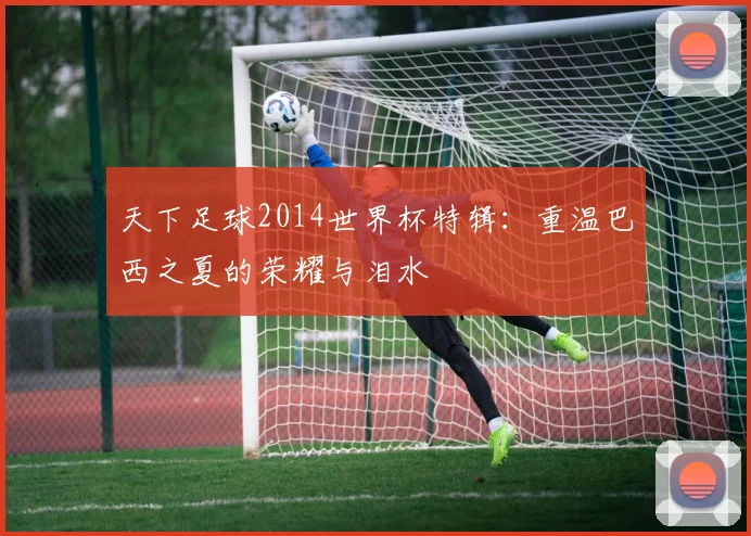 天下足球2014世界杯特辑：重温巴西之夏的荣耀与泪水