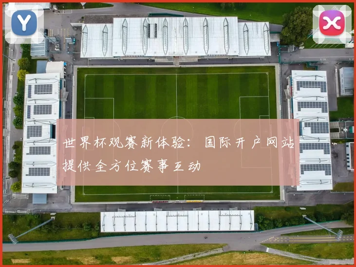 世界杯观赛新体验：国际开户网站提供全方位赛事互动