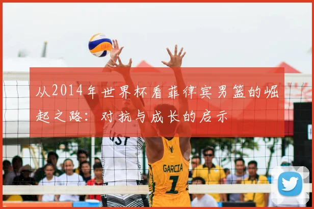 从2014年世界杯看菲律宾男篮的崛起之路：对抗与成长的启示