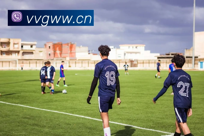 App Interface Preview